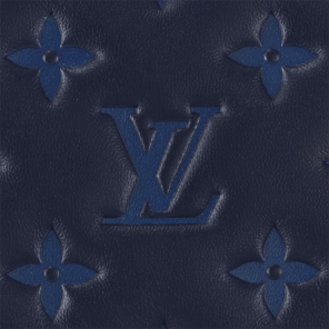 Louis Vuitton Coussin PM Tote Bag